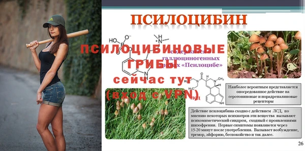 прущие крисы Михайлов